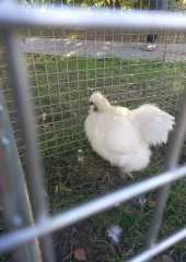 IMG-20231008-WA0018