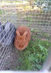 IMG-20231008-WA0030