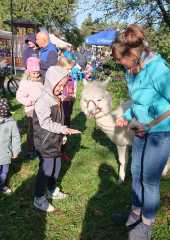 IMG-20231008-WA0077