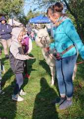 IMG-20231008-WA0081