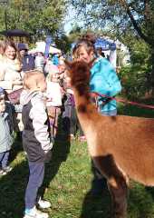 IMG-20231008-WA0082