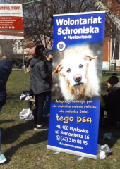 DSCF4956