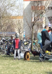 DSCF5084