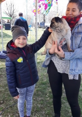 IMG-20190324-WA0023