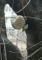 Lidzia Gieroń z mamą Kasią