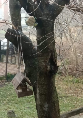 Lidzia Gieroń z mamą Kasią