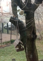 Lidzia Gieroń z mamą Kasią