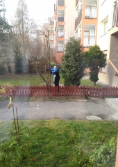 Przedszkole nr 3 w Mysłowicach