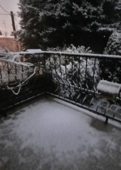 20211205_065336