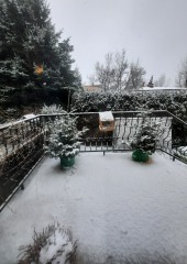 20220120_083239