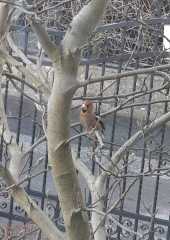 IMG-20220106-WA0003