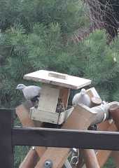 IMG-20220108-WA0008