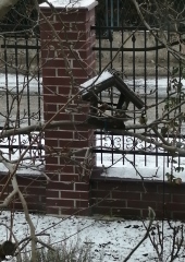 IMG_20211227_103430