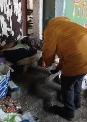 IMG-20250317-WA0017
