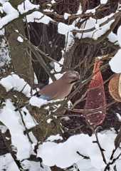 IMG-20230122-WA0000