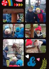IMG-20221205-WA0003