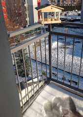 IMG-20221222-WA0003