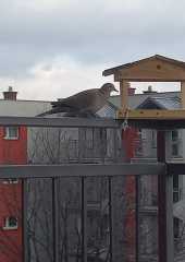 IMG-20230129-WA0000