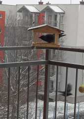 IMG-20230203-WA0000