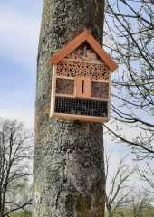 IMG-20230424-WA0000