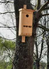 IMG-20230424-WA0002