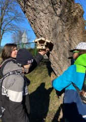 IMG-20250310-WA0049