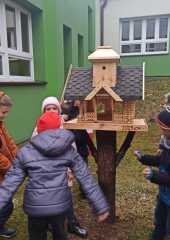 IMG-20231122-WA0016