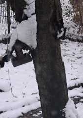 IMG-20231210-WA0015