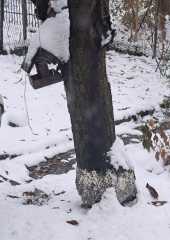 IMG-20231210-WA0017