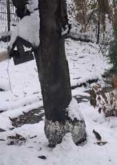 IMG-20231210-WA0018