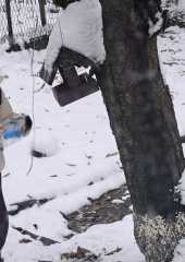 IMG-20231210-WA0022