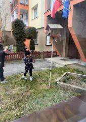 IMG-20240213-WA0003