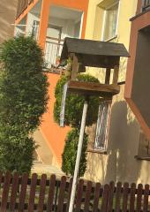 IMG-20231114-WA0001