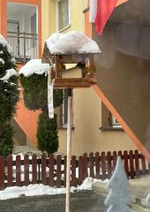 IMG-20231208-WA0002