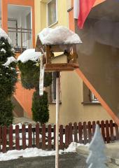 IMG-20231208-WA0003