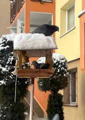 IMG-20240108-WA0001