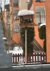 IMG-20240115-WA0001