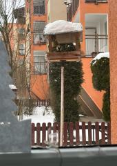 IMG-20240115-WA0002