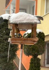 IMG-20240115-WA0003