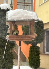 IMG-20240115-WA0004
