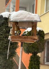 IMG-20240115-WA0005