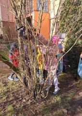 IMG-20231227-WA0003