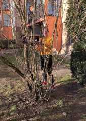IMG-20231227-WA0023