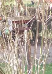 IMG-20231228-WA0004