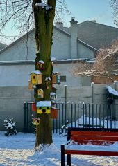 IMG-20240111-WA0001