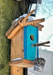 IMG-20240111-WA0007