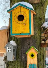 IMG-20240111-WA0015