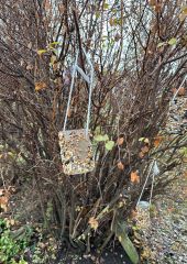 IMG-20231213-WA0020