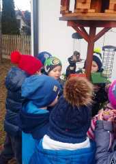 IMG-20250131-WA0059