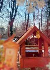 IMG-20250307-WA0002